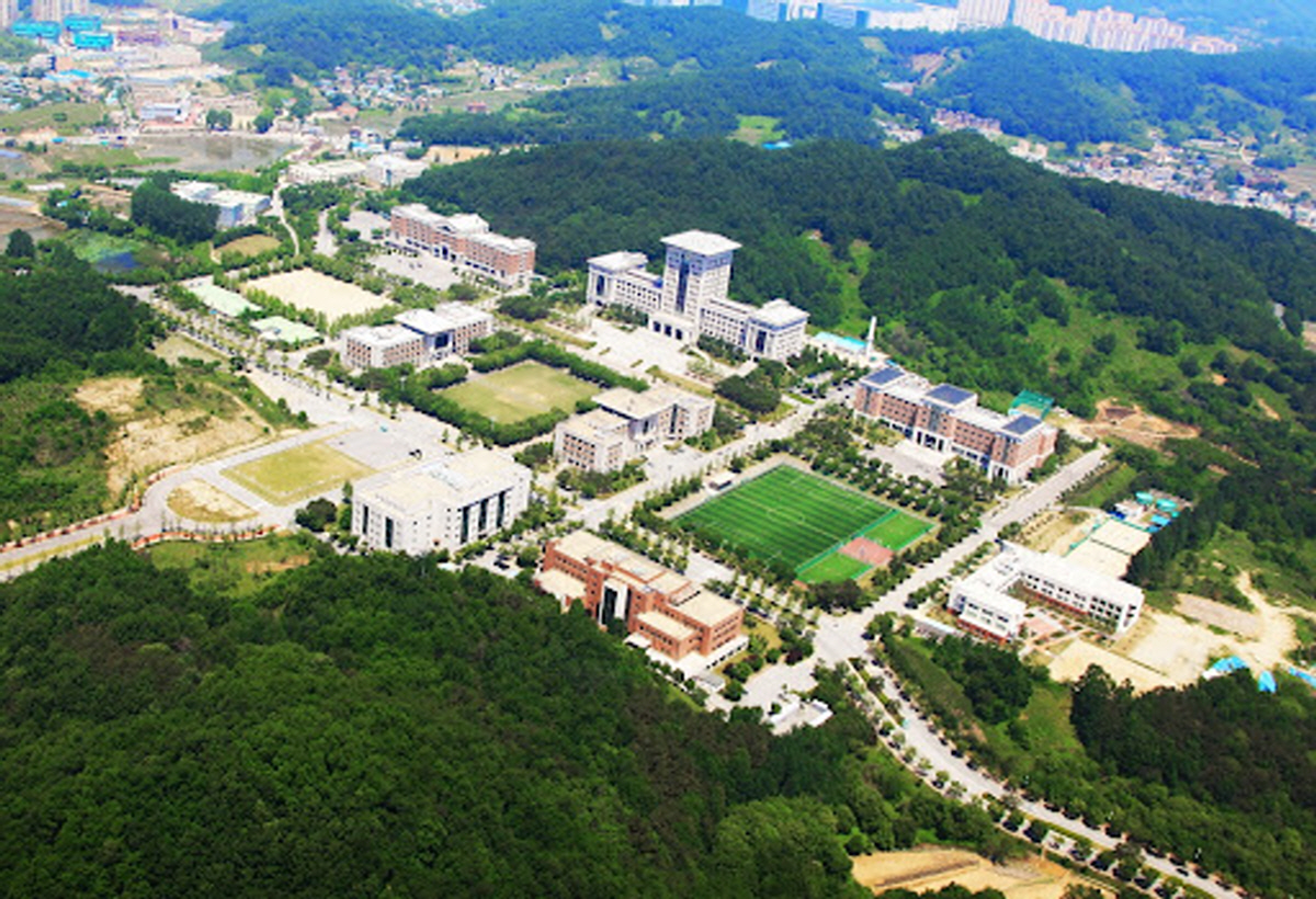 06.jpg